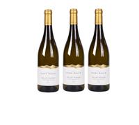 Elena Walch Müller Thurgau Vigneti delle Dolomiti IGT 2025 - 2250 ml