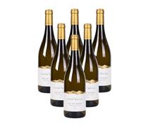 Elena Walch Müller Thurgau Vigneti delle Dolomiti IGT 2025 - 4500 ml