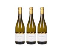 Elena Walch Pinot Bianco Alto Adige DOC 2025 - 2250 ml, 13% Vol.
