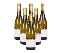 Elena Walch Pinot Bianco Alto Adige DOC 2025 - 4500 ml, 13% Vol.