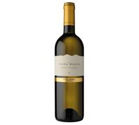 Elena Walch Pinot Bianco Südtirol - Alto Adige DOC 2024 0,75 ℓ