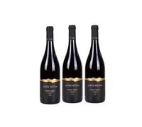 Elena Walch Pinot Nero Alto Adige DOC 2025 - Vino Rosso 2250 ml