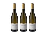 Elena Walch Sauvignon Alto Adige DOC 2025 - Vino Bianco 2250 ml, 13,5% Vol.