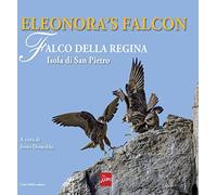 Eleonora’S Falcon. Falco Della Regina. Isola Di San Pietro
