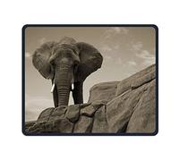 Elephant in piedi sull'ufficio Top of Rocks, gioco necessario, buon mouse partner, mouse pad