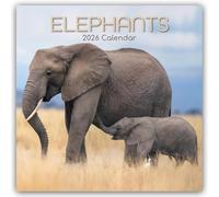 Elephants - Elefanten 2026 - 16-Monatskalender: Original The Gifted Stationery Co. Ltd [Mehrsprachig] [Kalender]