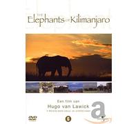 Elephants of Kilimanjaro (DVD)