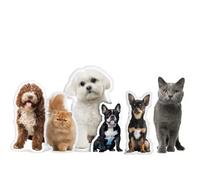 Eletizy Cuscini per animali domestici con foto personalizzate, cuscini divertenti per cani e gatti personalizzati, stampa 3D su entrambi i lati, per compleanno, Natale, Halloween (20cm)