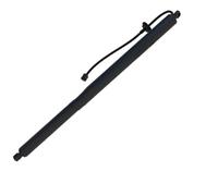 Elettrica Molla A Gas Portellone Posteriore Elettr 150060100A 150060200A Per Tesla Per Model Y 2020-2022 2 Pezzi Asta Supporto Portellone Posteriore Elettrico Destro Posteriore Non Carica(RH)