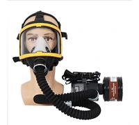 Elettrico a flusso costante alimentato ad aria a pieno facciale maschera antigas strumento di verniciatura a spruzzo dispositivo sistema respiratorio tubo di respirazione regolabile