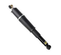 Elettrico A Gas Portellone Compatibile Con Chevy Per Avalanche 1500 2003 2004 2005 2006 1 Pz Tronco Ammortizzatore A Gas Asta Di Supporto 19300069