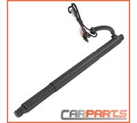 Elettrico Molle a Gas Powerlift Portellone SX 12v per BMW X6 E71 E72 2007-2014
