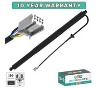 Elettrico Montanti Portellone Posteriore Sinistro Auto Stivale per Tesla Model Y
