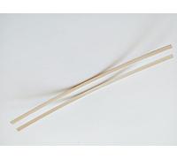elettrodi Argento puro 999 due piattine 11 cm x 2,5 mm per la autoproduzione di Argento Colloidale