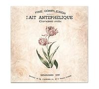 Elettroforesi Conveniente Mini Serbatoio Di Elettroforesi Verticale Trasferimento Analisi Laboratorio Test Apparecchiature For Su Gel Proteine di Acido Nucleico