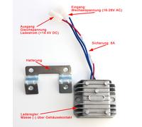 Elettronica di Controllo per Generatore Einhell Rt-Pg 5000DD, 5000/1 DD Superio