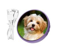 elettronica per mattonelle - per la visualizzazione di anime, badge e spille elettroniche, per collezionisti fan studenti giovani adulti feste a tema fiere cosplay eventi