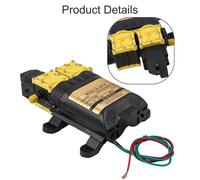 Elettropompa 12V Dual Core per un efficace approvvigionamento idrico in ambienti
