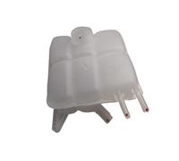 Elettropompa Acqua Misura Per Ford Focus MK2 2004-2011 Kuga Espansione Del Liquido Di Raffreddamento Del Motore Serbatoio Dell'acqua Di Troppopieno Con Tappo Pompa Supplementare