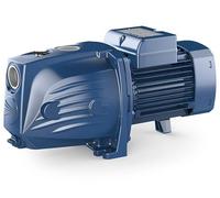 ELETTROPOMPA AUTOADESCANTE 220V