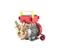 Elettropompa da travaso Rover 25 CE - motore 0,8 hp monofase - pompa elettrica