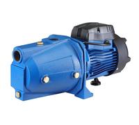 Elettropompa Autodescante Autoclave Periferica 1HP 750W Pompa Girante Acciaio