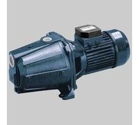 ELETTROPOMPA AUTODESCANTE JET IN GHISA AGA 0,75 M Elettropompe Ebara