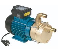 Elettropompa Autodescante Motore Monofase Autoclave Pompa EEM 20 25 30 Tellarini