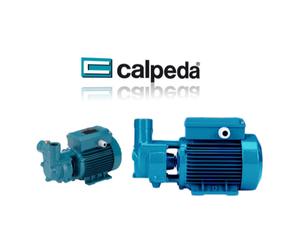 Elettropompa CALPEDA CAM 90/A - Pompa Monofase Autodescante da 0,75 HP CA 90 ...