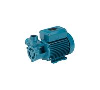 Elettropompa Calpeda TM 61 E | Girante PERIFERICA Bronzo | Max 90°C | Monofase