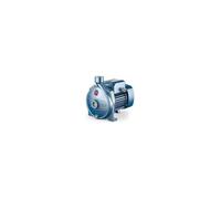 Elettropompa Centrifuga 1 HP Articolo CPM158X 220v - Pedrollo