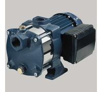 ELETTROPOMPA CENTRIFUGA MULTISTADIO ORRIZZONTALE IN GHISA - Compact BM/15