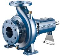 Elettropompa Centrifuga Normalizzata ad asse nudo per acqua PEDROLLO FG 40/160A