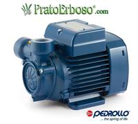 Elettropompa con girante periferica Pedrollo PQ - Mod. 220/380 V