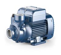 Elettropompa Con Girante Periferica PKm60 0,40 HP 0,30 kW Monofase IE2