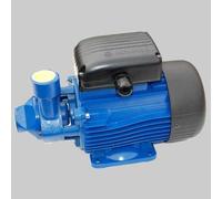 ELETTROPOMPA DI SUPERFICIE PERIFERICA BLUE PM 70 KW 0,75 Elettropompe Lowara