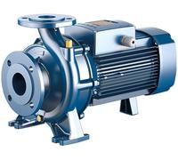 Elettropompa F 50/250D Pompa Centrifuga per irrigazione Trifase Monoblocco EN733