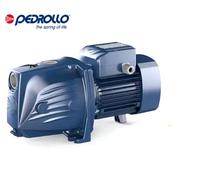 Elettropompa Pedrollo JSWm 2CX 220V HP 1 centrifuga autoadescante per autoclave