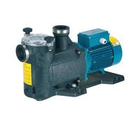 Calpeda Elettropompa per piscina MPCM 41 1,5 HP autoadescante con prefiltro