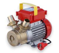 Elettropompa per travaso alimenti 75 lt Rover 30 ce