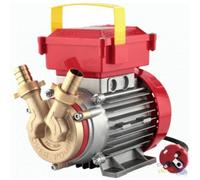 ELETTROPOMPA PER TRAVASO mm 30 HP 0,9