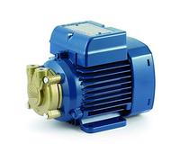 Elettropompa Periferica 0,25Hp PV m55 pompa Ottone 220V Acqua Pedrollo