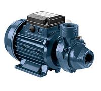 Elettropompa Periferica Acqua Autoclave Centrifuga in ghisa PRA monofase EBARA (PRA 1.00M 50LT/MIN 65 METRI MAX)