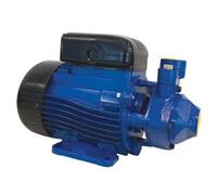 Elettropompa Periferica Aspirazione Frontale PM40 B 0,75 kW Lowara