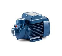 POMPA AUTOCLAVE PEDROLLO PERIFERICA HP 0,5 PEDROLLO PKM60 + VASO 20LT