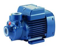 Elettropompa Periferica in Ghisa Monofase Pkm 0,50 0,37 kW 230 V Pedrollo