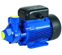 Elettropompa Periferica in Ghisa Monofase Pm 1 HP 0,75 kW 230 V LOWARA
