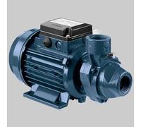 ELETTROPOMPA PERIFERICA IN GHISA PRA 0,50 M Elettropompe Ebara