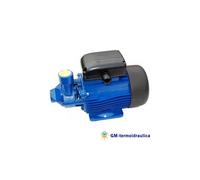 Elettropompa Periferica Lowara PM 70 1 Hp 0,75 kW Monofase