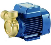 Elettropompa pompa acqua con girante periferica in Ottone Pedrollo PQ60-Bs 0,4HP